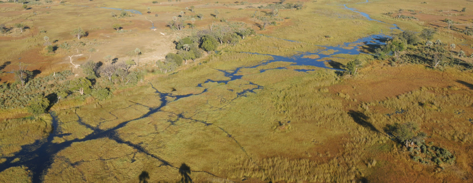 sunway_botswana_okavango_from_air_2_bruce_taylor_20111025_1610998075