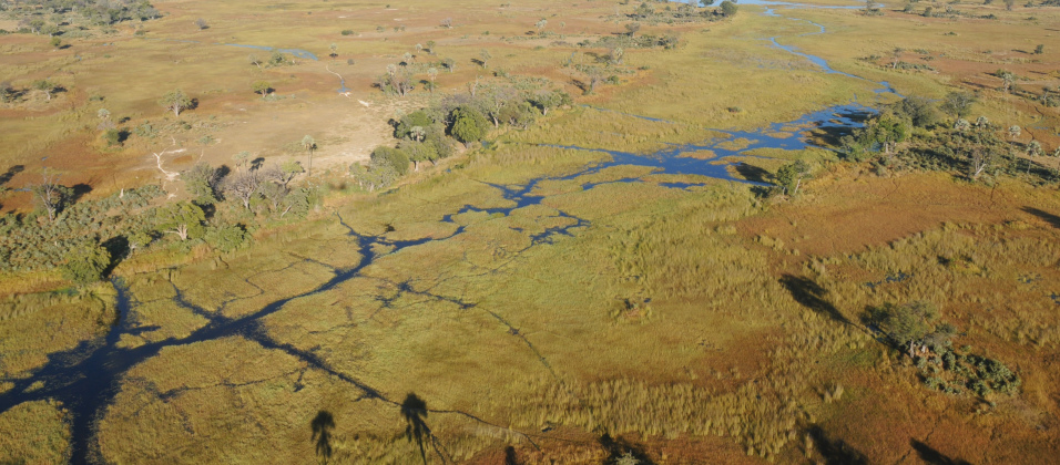 sunway_botswana_okavango_from_air_2_bruce_taylor_20111025_1610998075